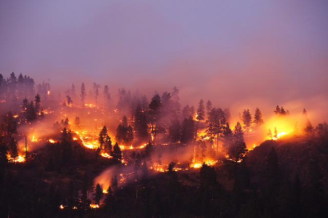 Una red inalámbrica de sensores contra los incendios forestales